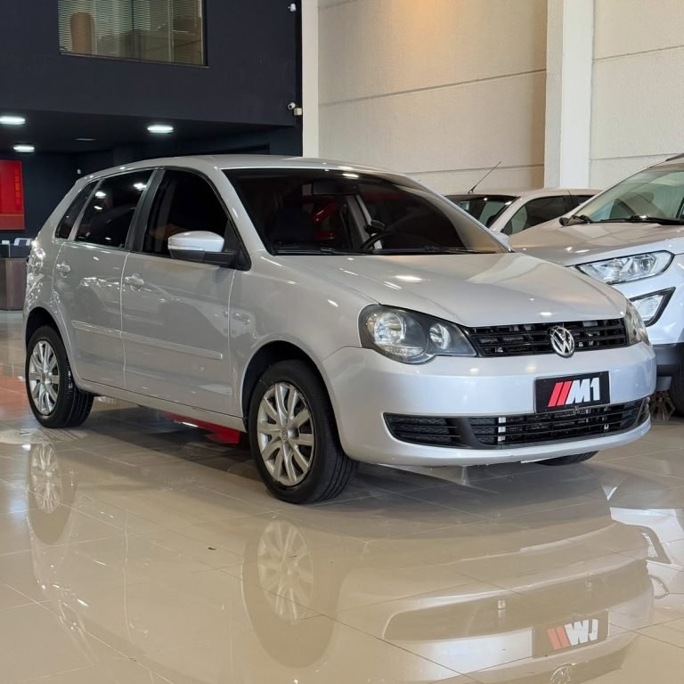 Polo 1.6