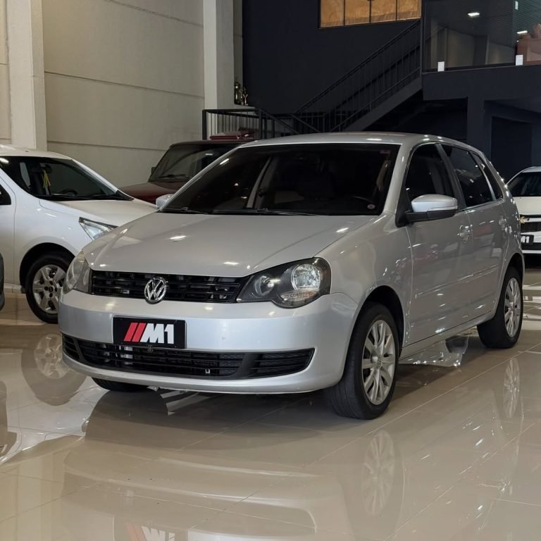 Polo 1.6