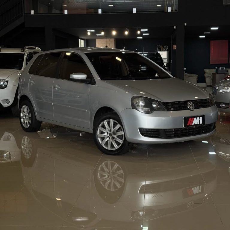 Polo 1.6